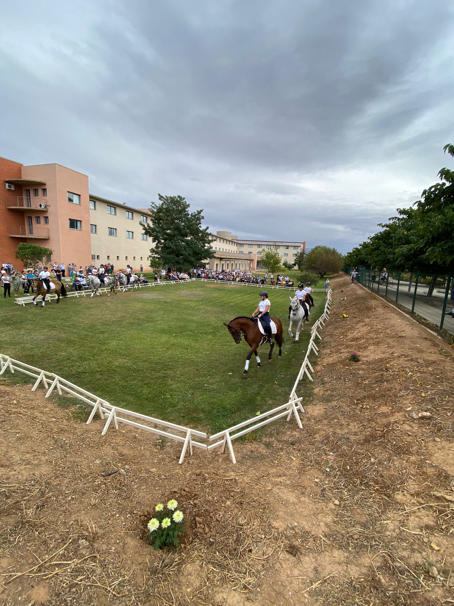 Exhibición ecuestre en Vitalia Cariñena